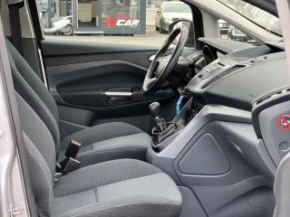 Ford C-MAX 1.6i 16v 77kw KLIMA TAŽNÉ ALU - náhled 31