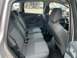 Ford C-MAX 1.6i 16v 77kw KLIMA TAŽNÉ ALU - náhled 30