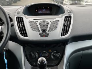 Ford C-MAX 1.6i 16v 77kw KLIMA TAŽNÉ ALU - náhled 19