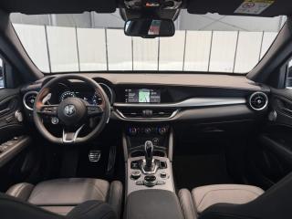 Alfa Romeo Stelvio 2.0 Turbo 280k Q4 AT8 INTENSA