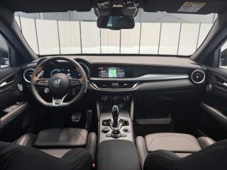 Alfa Romeo Stelvio 2.0 Turbo 280k Q4 AT8 INTENSA