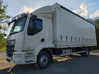 DAF LF 290-16t-18EP-�elo-L��ko