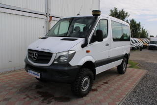 Mercedes-Benz Sprinter 313 CDI 4x4 IGLHAUT 9m+klima