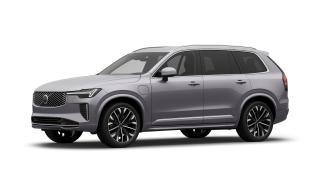 Volvo XC90 Plus, T8 eAWD, 360, Vzduch.