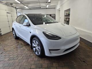Tesla Model Y LONG RANGE DUAL MOTOR 378kw TZ