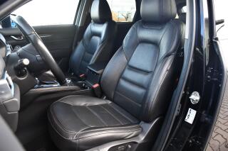 Škoda Octavia 2.0TDi DSG STYLE ČR - náhled 22