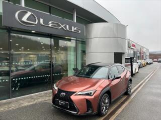 Lexus UX 300h 2.0   F Sport Design Bi- Tone