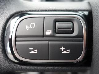 Citroën C3 1.2 PureTech, 1. majitel, CZ - náhled 20