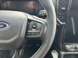 Ford Ranger 2.3Hybrid PHEV 205kW STORMTRAK - náhled 25