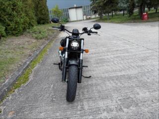 1.9 �r 1. maj Chief Dark horse