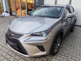 Lexus NX 300h NX300h