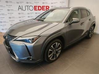 Lexus UX 250h PREMIERE Cognac leather Editio