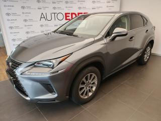 Lexus NX 300h 2.5 ELEGANCE 2WD SAFETY