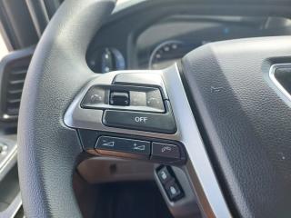 MAN TGL 12.250 BL CH 4x2 - náhled 48