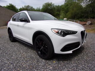 Alfa Romeo Stelvio 2.0TURBO 206kW PANORAMA V�BAVA