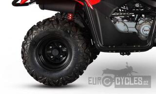 Kayo 200 (2026) 200 - náhled 11