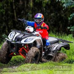 Kayo 200 (2026) 200 - náhled 8