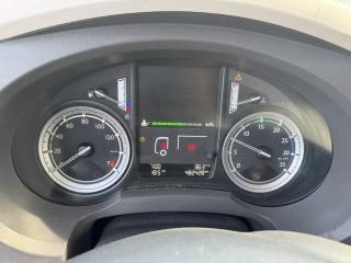 DAF LF (2015) 45.220, 18 palet, čelo, ACC - náhled 16