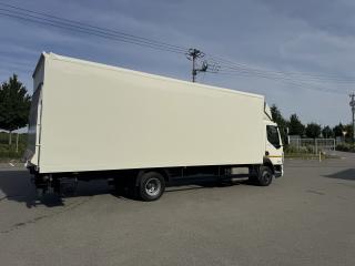 DAF LF (2015) 45.220, 18 palet, čelo, ACC - náhled 6
