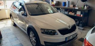 koda Octavia Scout