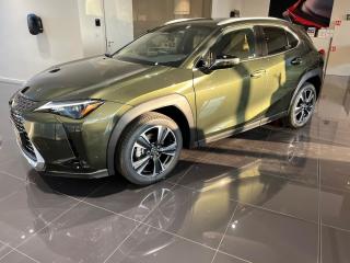 Lexus UX 300h 2.0l