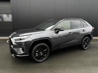 Toyota RAV4 Selection            NG19