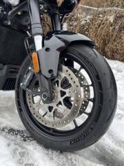 Harley-Davidson Pan America 1250 (2025) ST - náhled 11