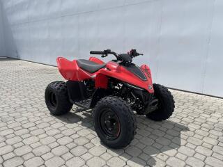 CFMOTO Gladiator X110 LE