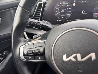 Kia Sportage 1.6 T-GDi MHEV DCT AWD TOP Evo - náhled 17