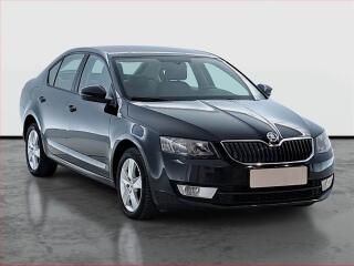 �koda Octavia Ambition 1.6 TDI, Tempomat