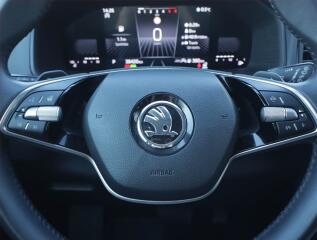 Tesla Model 3 (2020) Std Range Plus LFP, SoH 93% - náhled 17