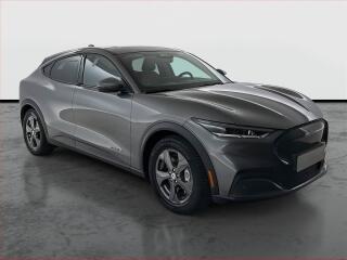 Ford Mustang Mach-E Standard Range RWD, SoH 94%