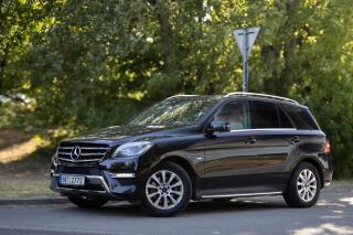 Mercedes-Benz Servisovan�, AMG paket, ta�n�,