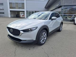 Mazda CX-30 2.5L e-SKYACTIV 103 kW