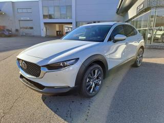 Mazda CX-30 2.0L e-SKYACTIV 137 kW