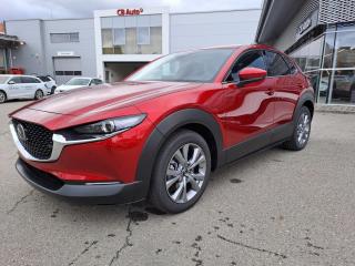 Mazda CX-30 2.0L e-SKYACTIV 137 kW