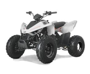 Linhai ATV 110