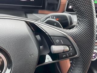 Škoda Kodiaq (2024) Exclusive Selection 2.0 TDI 14 - náhled 10