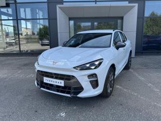 Cupra Terramar 1.5eTSI 110kW DSG