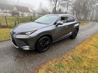 Lexus NX 300h Prestige safety 4x4