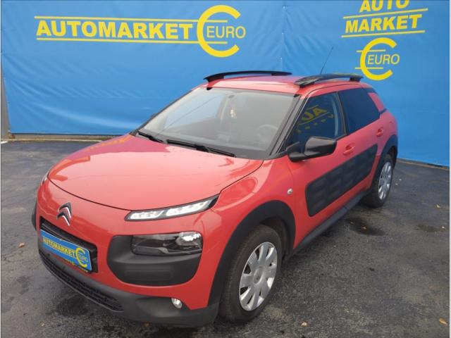 Citron C4 Cactus