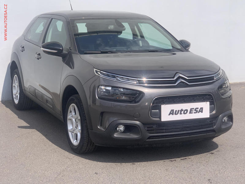 Citron C4 Cactus