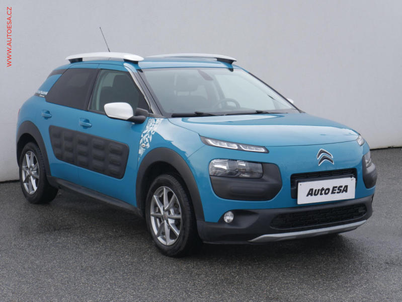 Citron C4 Cactus