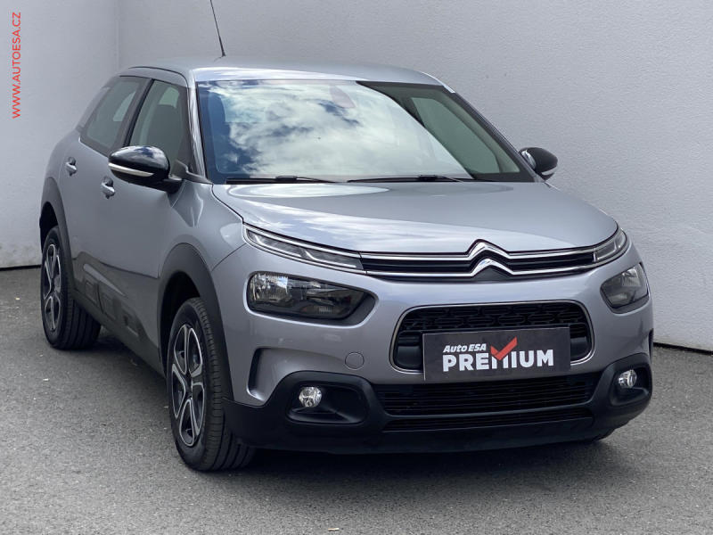 Citron C4 Cactus
