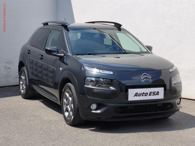 Citron C4 Cactus