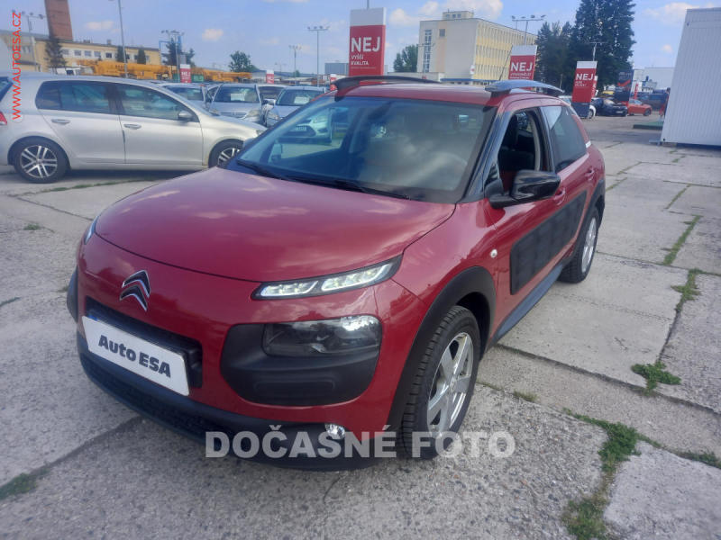 Citron C4 Cactus