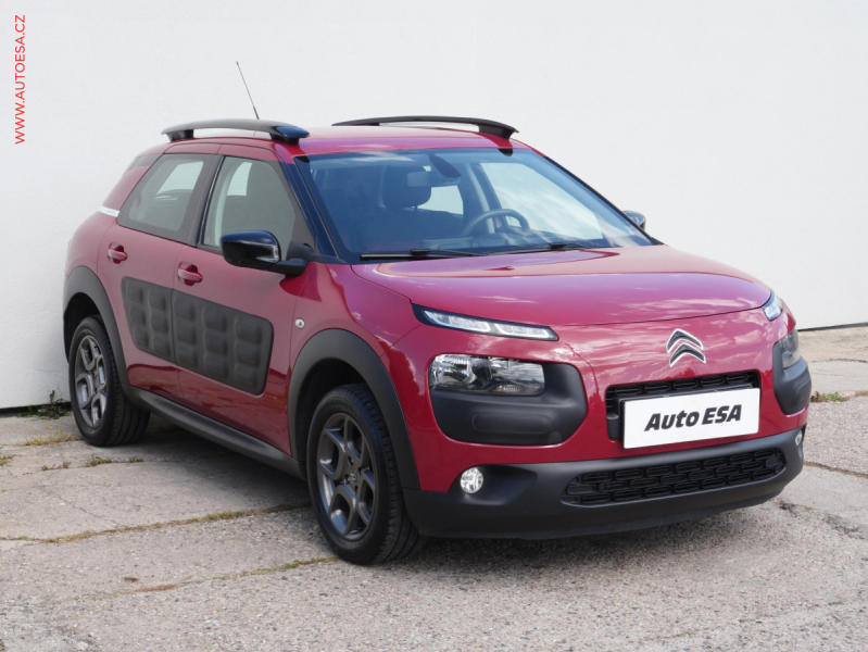 Citron C4 Cactus