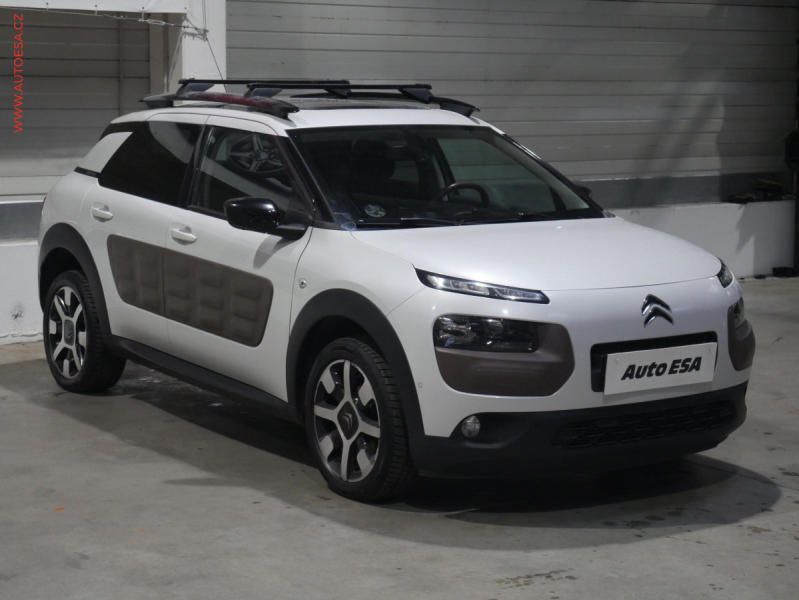 Citron C4 Cactus