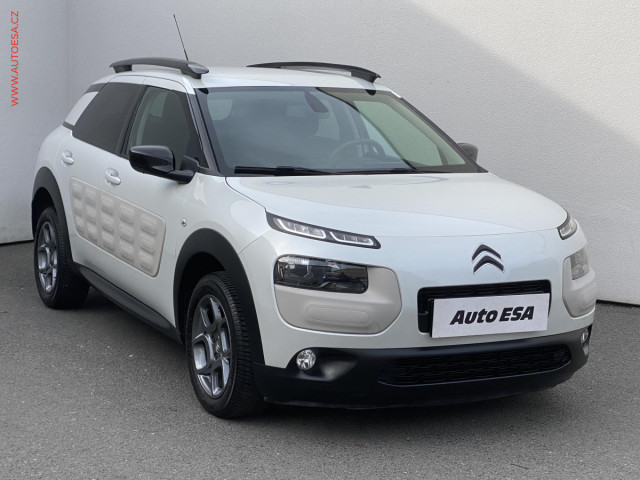 Citron C4 Cactus