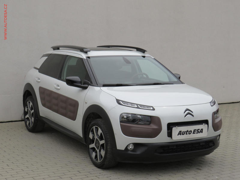 Citron C4 Cactus